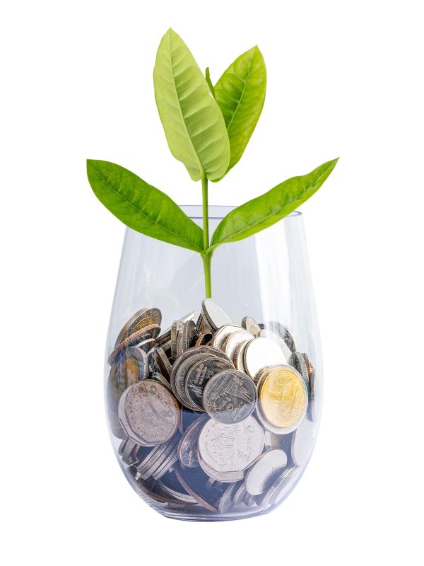 Save money tree growing on coins in plastic bottle, Business finance investment concept